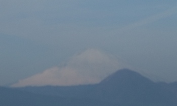 f0068511_1214849.jpg
