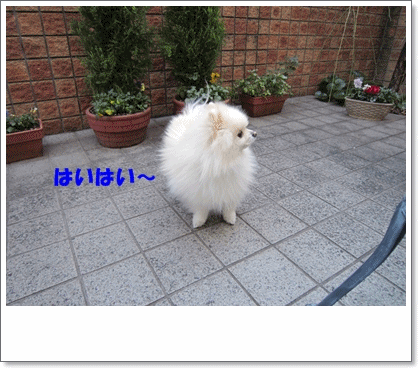 b0167519_17321533.gif