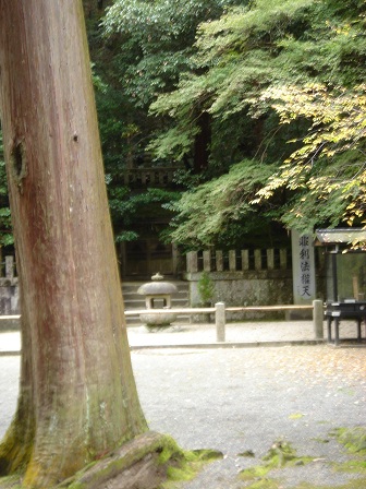 f0000521_737995.jpg