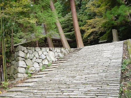 f0000521_7422687.jpg