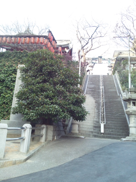 c0078428_1622043.jpg