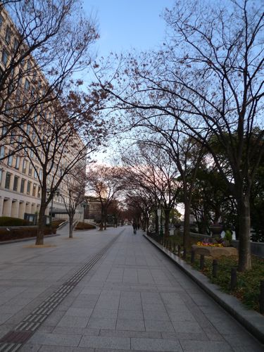 f0165831_2383917.jpg