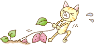 b0164533_2021611.gif
