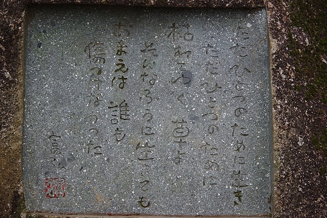 d0218238_22145344.jpg