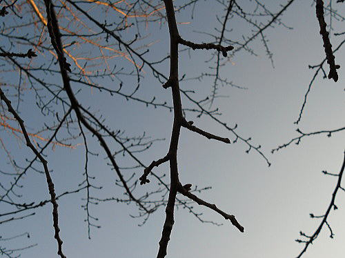 f0094843_11371984.jpg