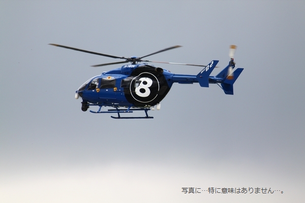 a0090451_1773223.jpg