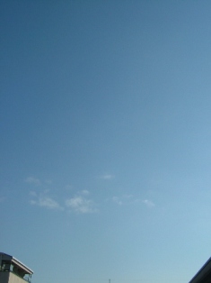 a0256354_237137.jpg