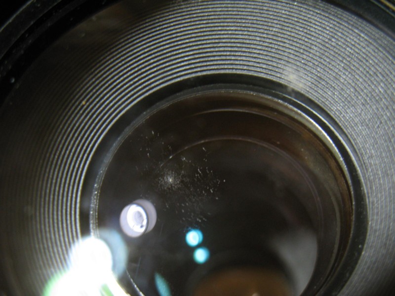 d0173255_1583334.jpg