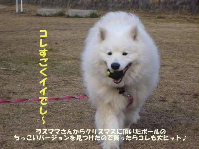 e0176159_13235581.jpg