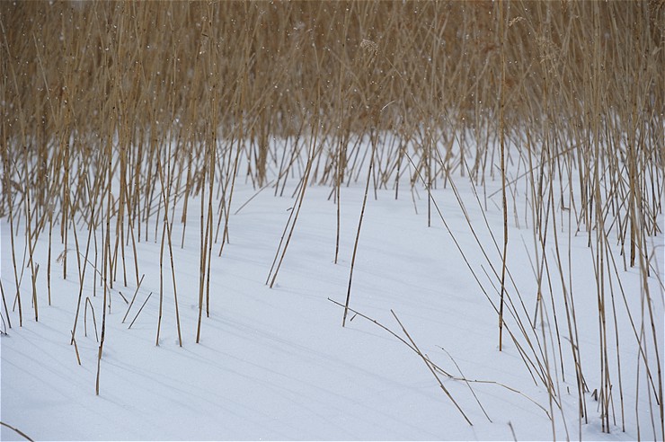 f0222161_13211573.jpg