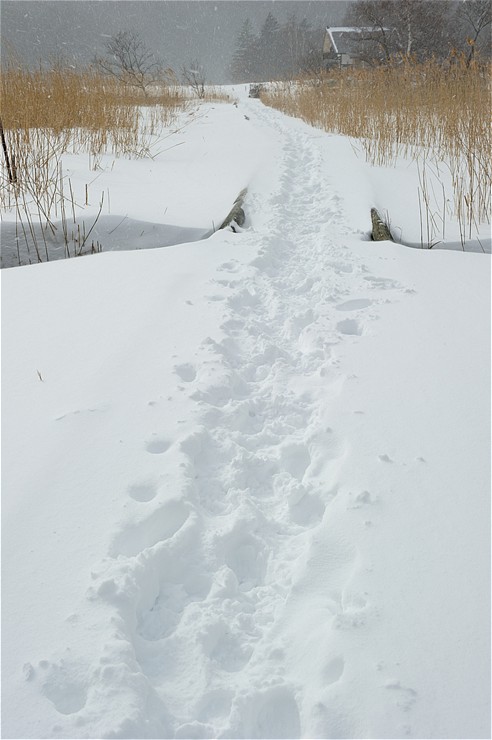 f0222161_13212567.jpg