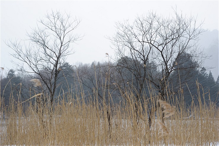 f0222161_1321543.jpg
