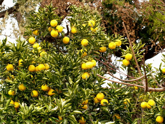 f0208666_15105296.jpg