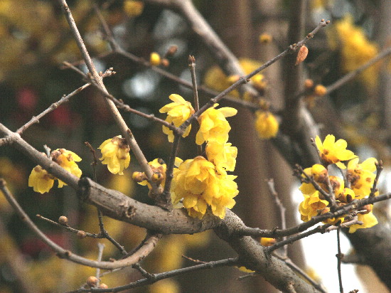 f0208666_1562247.jpg