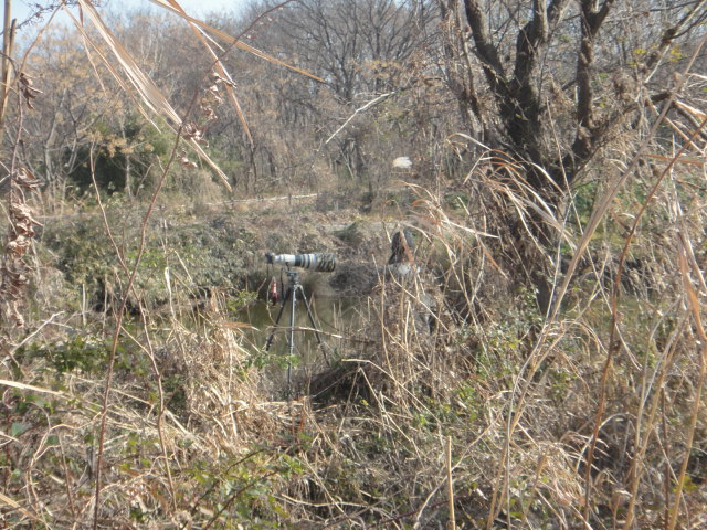 f0137275_4271314.jpg