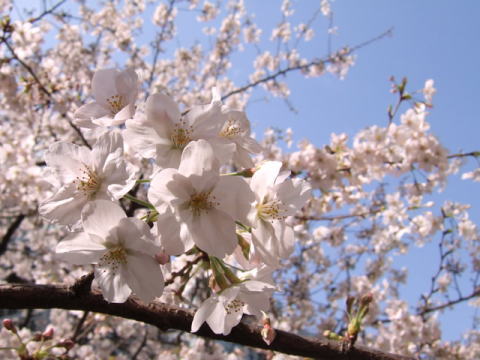 b0016976_2226191.jpg