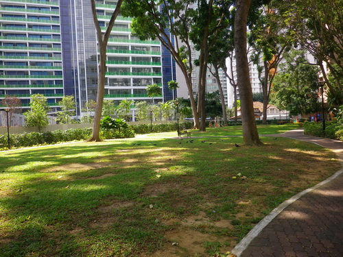 a0002177_1344576.jpg