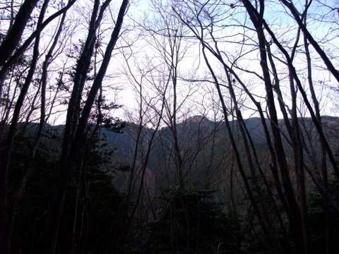 a0043982_20572179.jpg