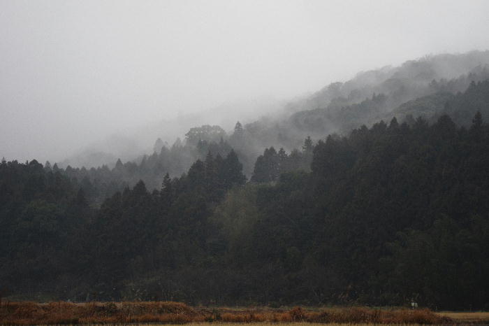 b0171185_1611110.jpg