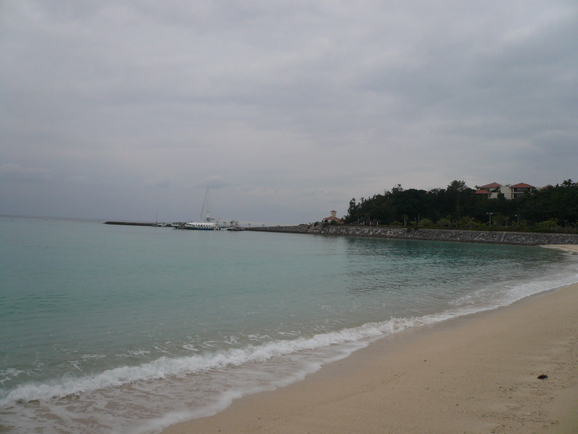 a0147890_953460.jpg