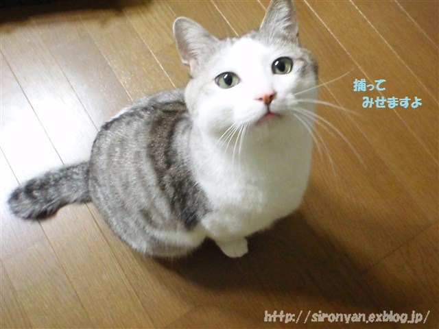 a0159490_1141128.jpg