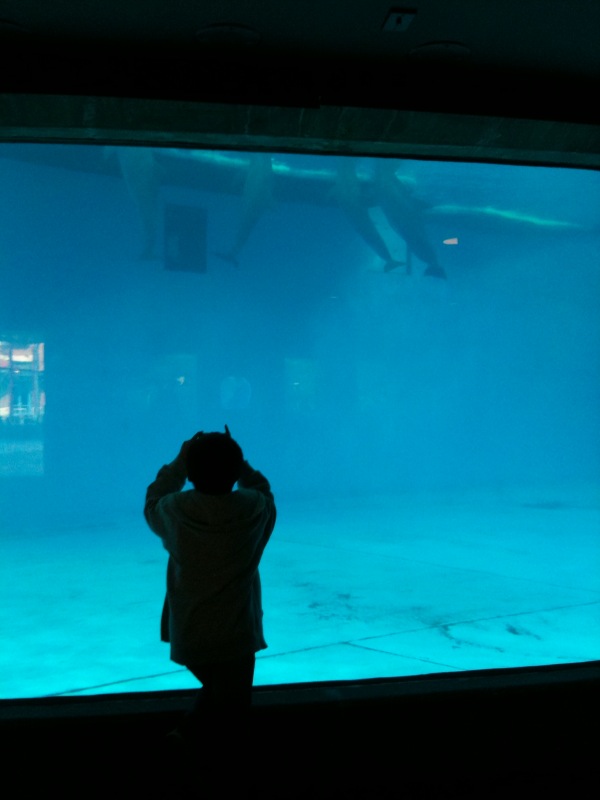 a0141892_1349327.jpg