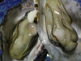 b0092794_22441437.jpg