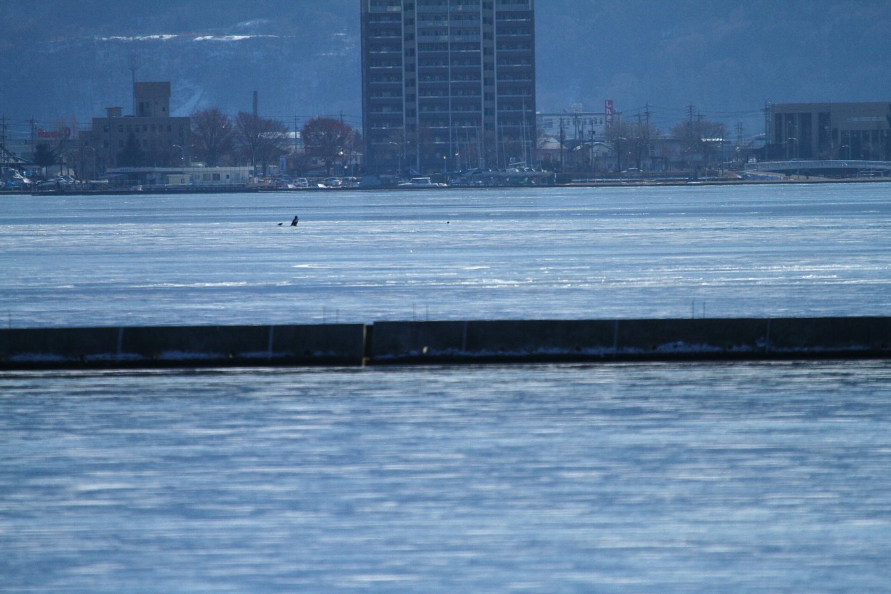 e0167295_23201092.jpg