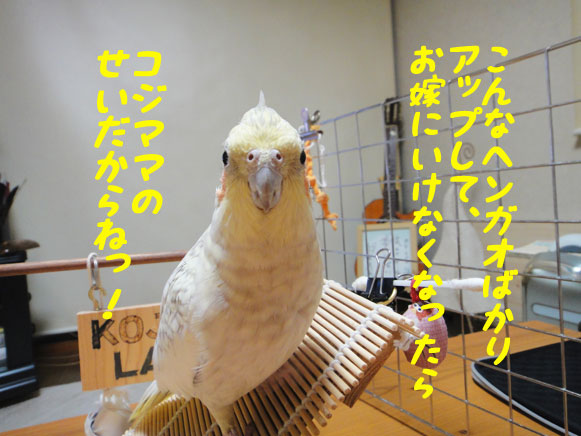 b0240299_1672479.jpg
