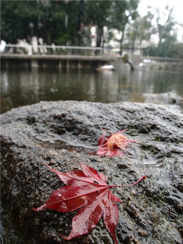 f0224100_23301124.jpg
