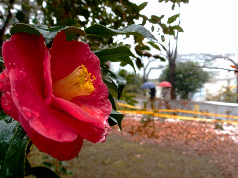 f0224100_233159.jpg