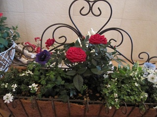 c0152002_18394780.jpg