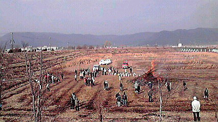 e0113504_20282896.jpg