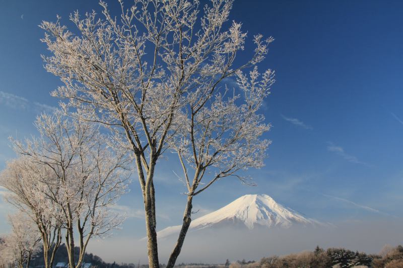 a0188405_18553721.jpg