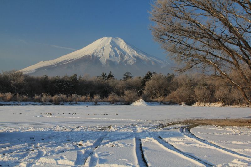 a0188405_185548.jpg