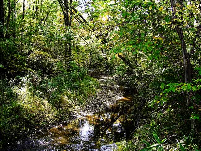 e0240407_9471877.jpg