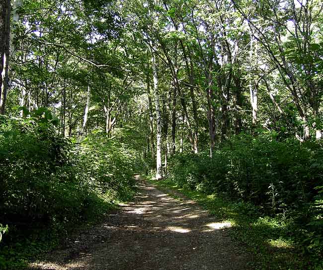 e0240407_9481753.jpg