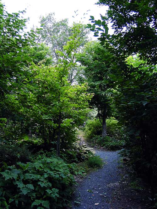 e0240407_952298.jpg