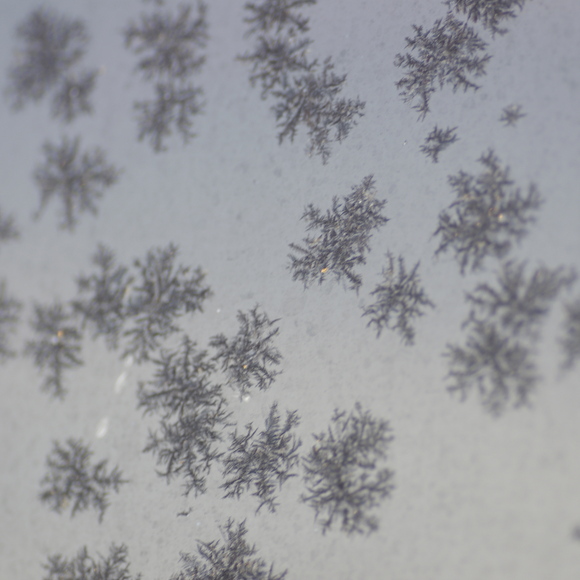 e0142611_12302992.jpg
