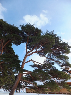 f0227218_18502166.jpg