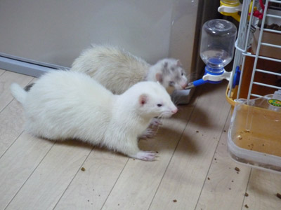 c0227720_21331658.jpg