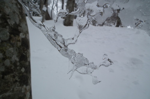 f0118332_21132478.jpg