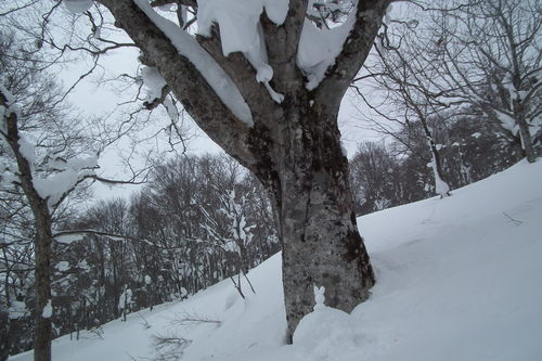 f0118332_21134669.jpg