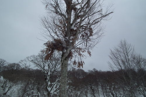 f0118332_21182636.jpg