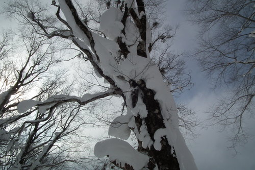 f0118332_2122054.jpg