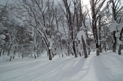 f0118332_21222412.jpg
