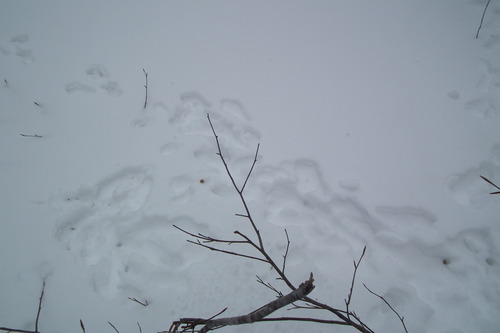f0118332_2193171.jpg