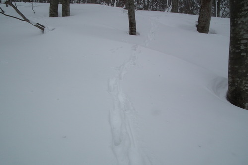 f0118332_219817.jpg