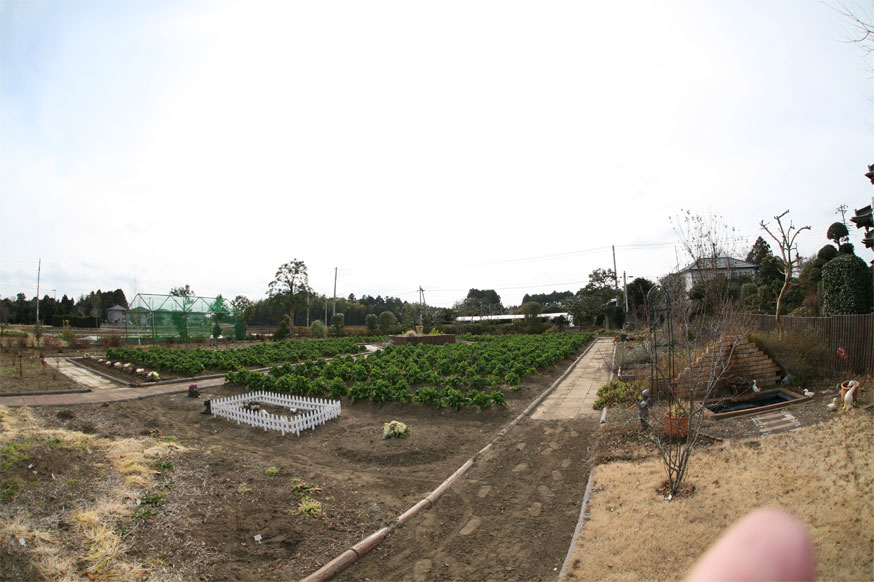 a0231133_1353776.jpg