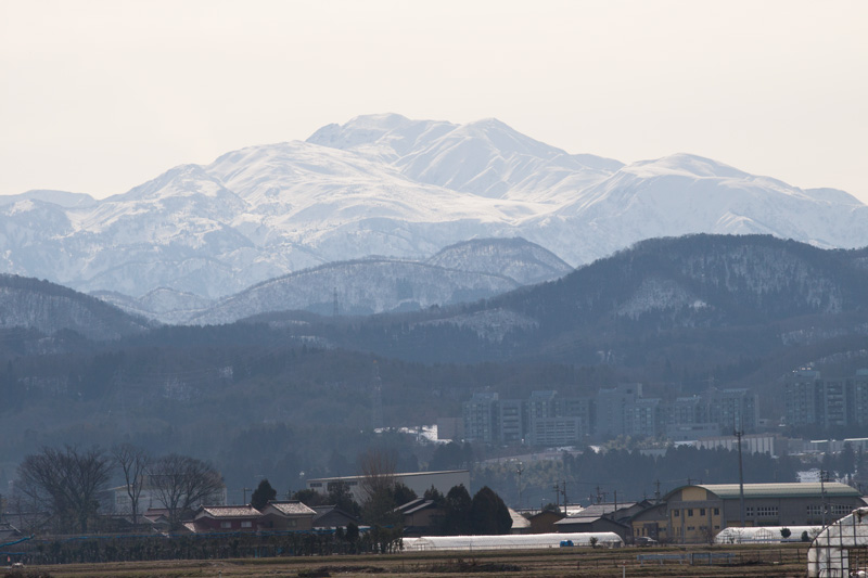 b0177233_5305282.jpg
